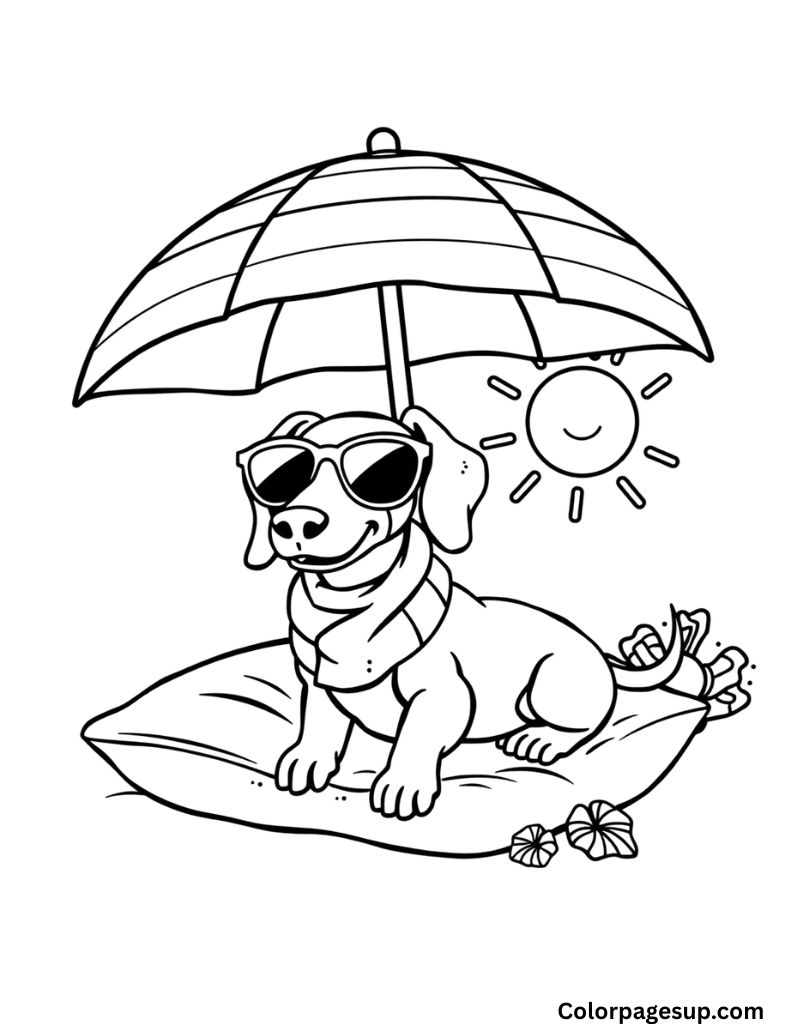 coloring pages of wiener dogs