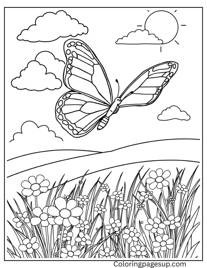 printable butterfly coloring sheets