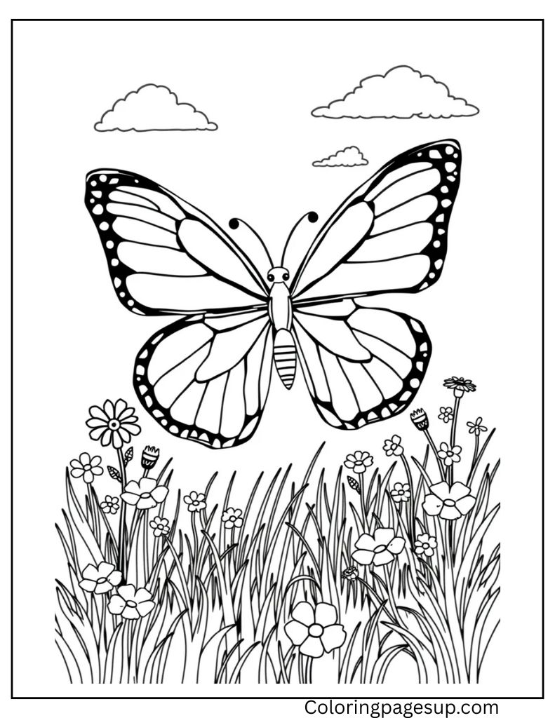 butterfly coloring pages