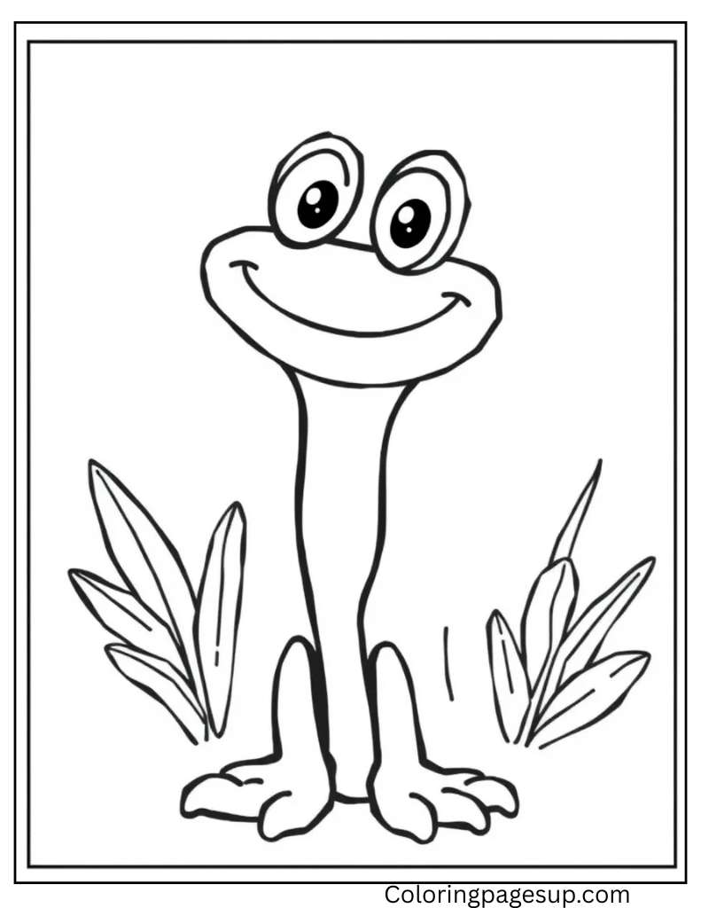 amphibian coloring pages