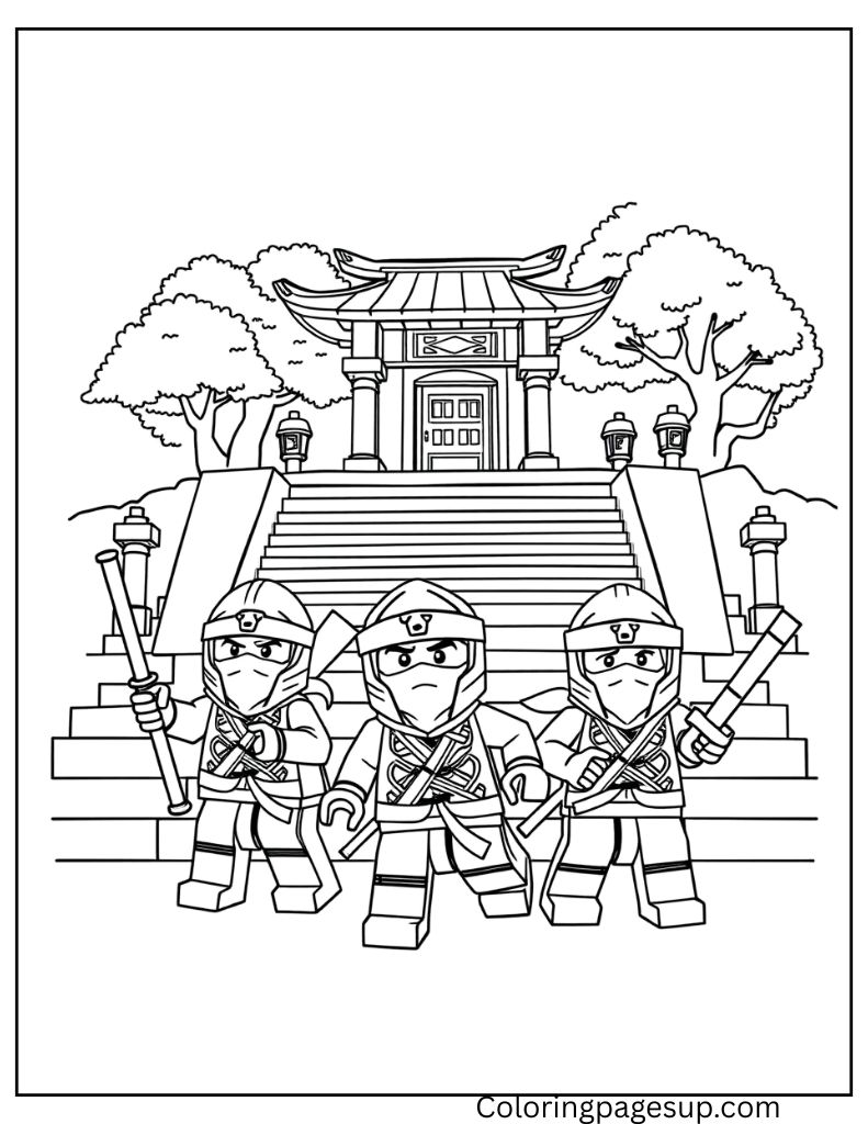 Ninja group coloring